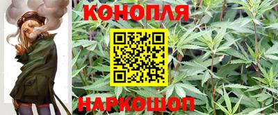 крисы Краснознаменск