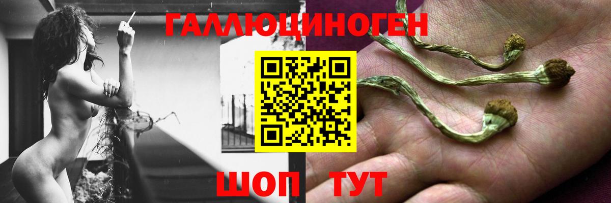 Галлюциногенные грибы прущие грибы  Вход с VPN  Тельмана 
